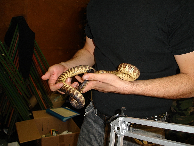 DSC05348.JPG