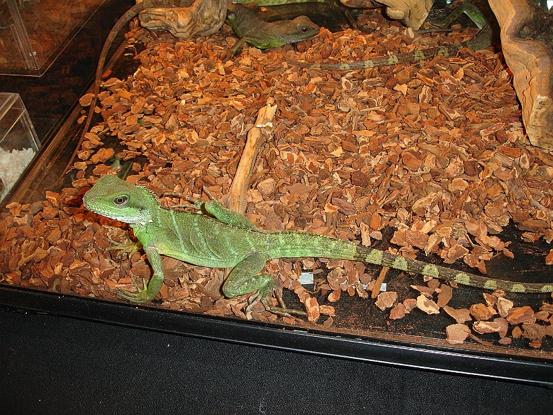 DSC05445.JPG