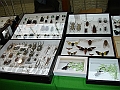 DSC05275