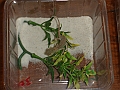 DSC05283