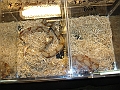 DSC05316