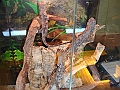 DSC05318