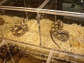 DSC05320