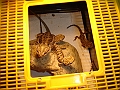 DSC05321