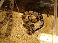 DSC05323