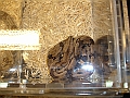 DSC05324