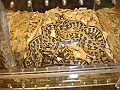 DSC05333