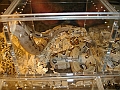 DSC05336