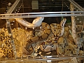 DSC05339