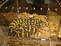DSC05340