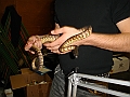 DSC05349