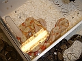 DSC05351