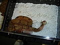DSC05360