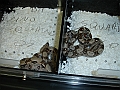 DSC05361