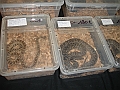 DSC05367