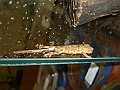 DSC05382