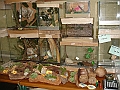 DSC05396