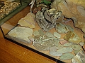 DSC05398