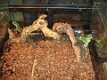 DSC05435