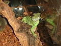DSC05437