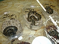 DSC05443