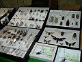 DSC05462