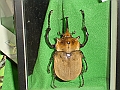 DSC05465