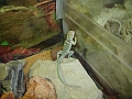 DSC05476
