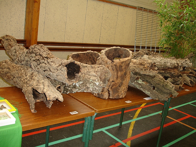 DSC00032.JPG