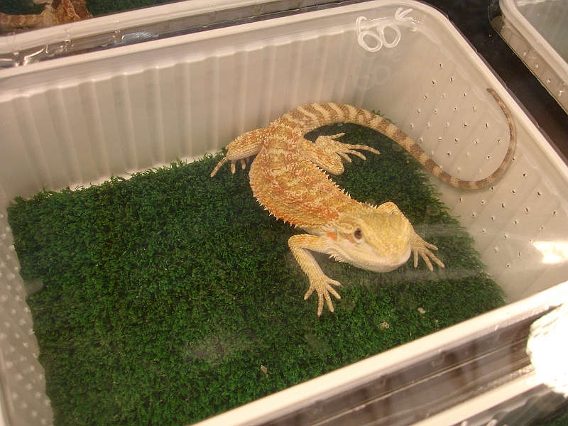 DSC00128.JPG