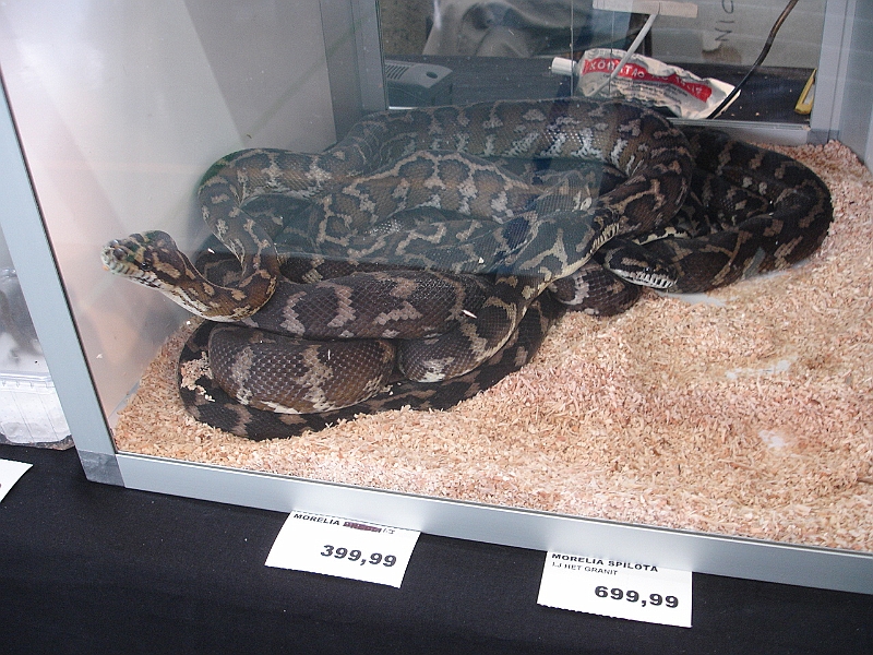 DSC00133.JPG