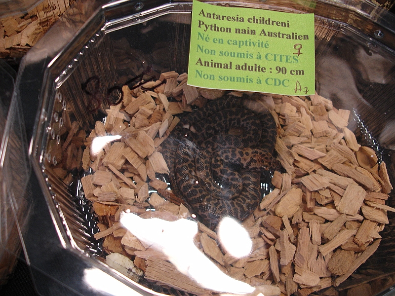 DSC00266.JPG