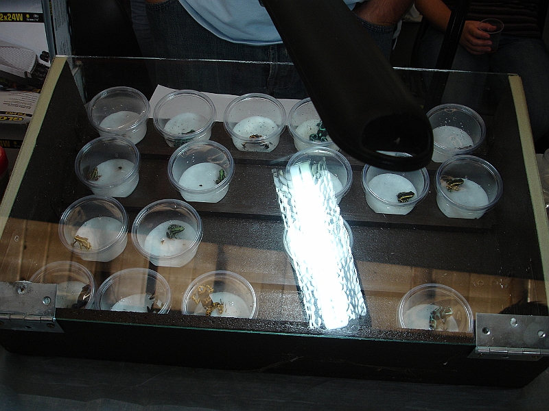 DSC00276.JPG