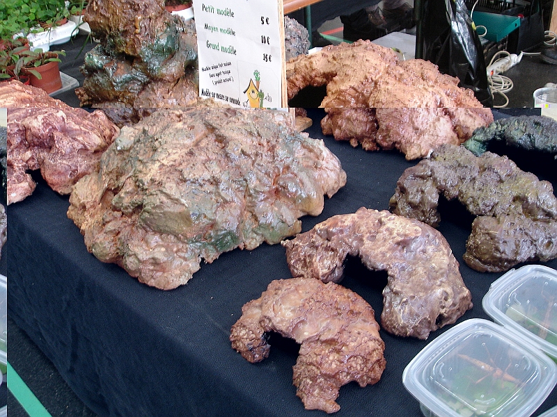 DSC00285.JPG