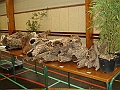 DSC00030