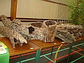 DSC00032