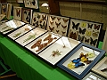 DSC00034
