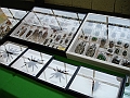 DSC00039