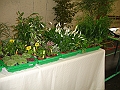 DSC00041