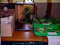 DSC00042