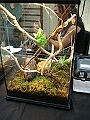 DSC00049