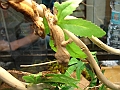 DSC00053