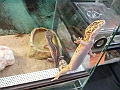 DSC00057