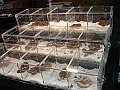DSC00070