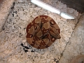 DSC00072