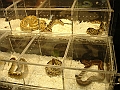 DSC00081
