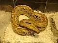 DSC00095