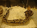DSC00096