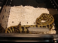 DSC00098