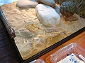 DSC00104
